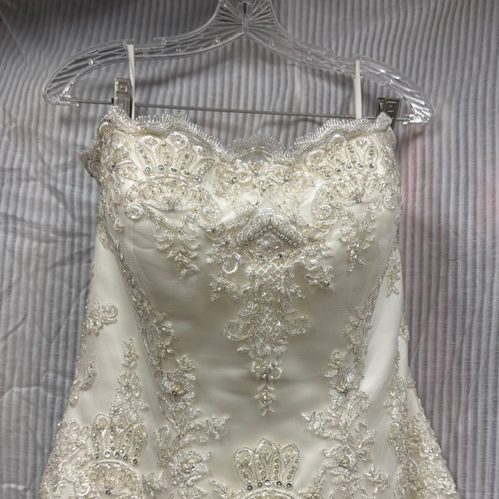 Elegant Cream Lace Embellished Dress